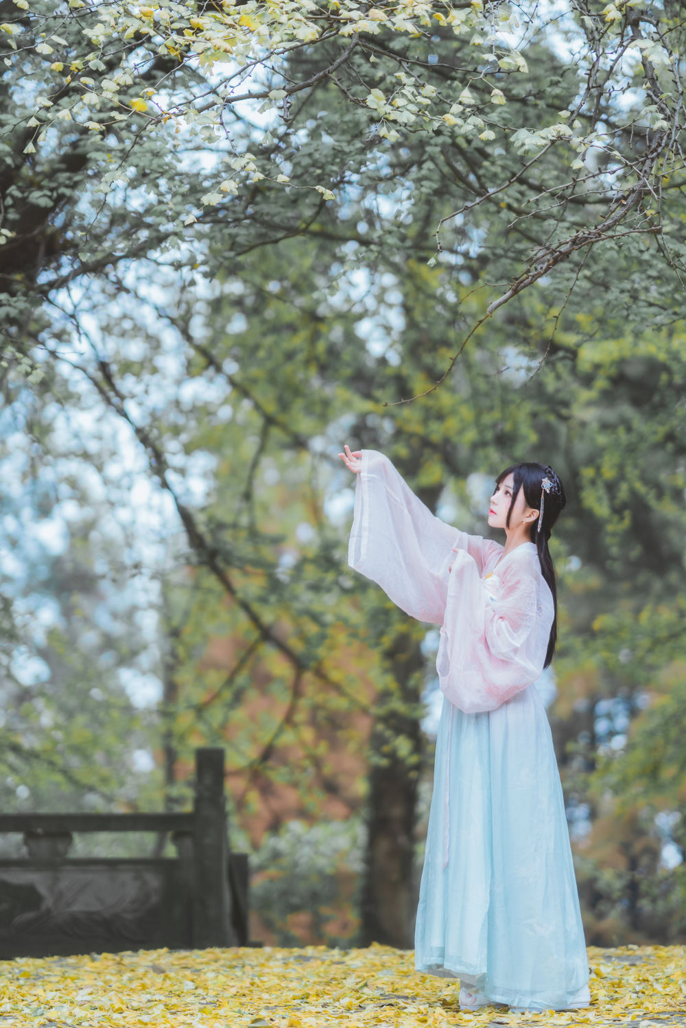 桜桃喵-汉服银杏-在线看 第3张