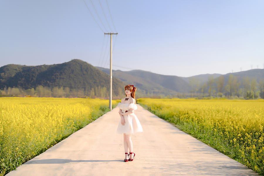 星之迟迟-No.225 – 2024年04月计划A EVA 明日香 花之语-在线看 第1张