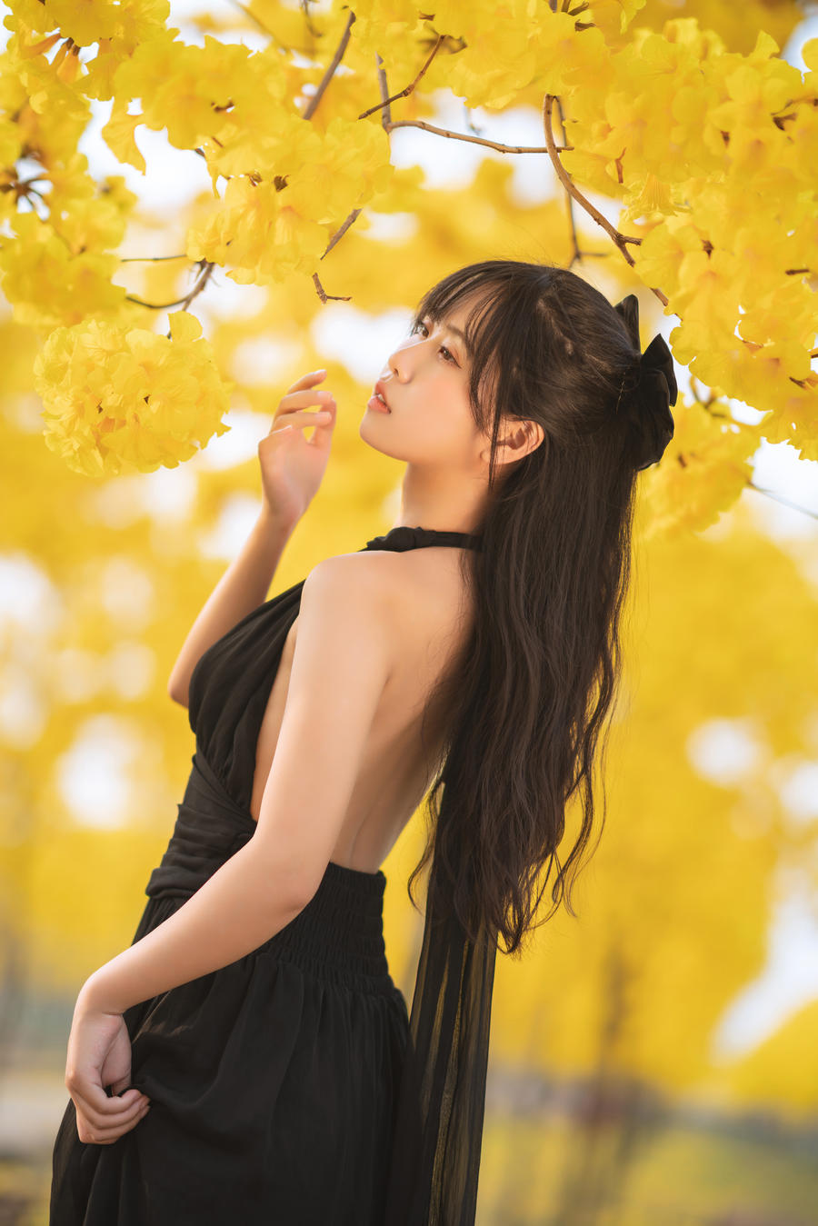 萌芽儿o0-No.025–秋有银杏 春有黄风铃-在线看 第1张