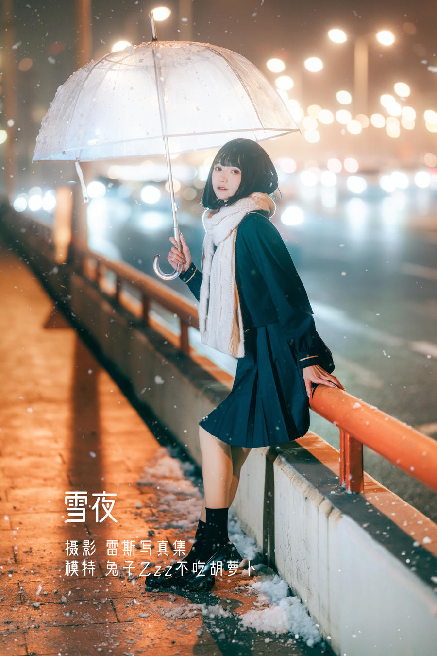 兔子Zzz不吃胡萝卜-No.036-雪夜-在线看 第1张
