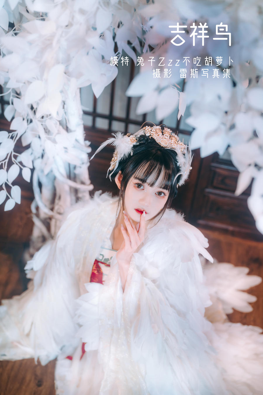 兔子Zzz不吃胡萝卜-No.005-吉祥鸟-在线看 第1张