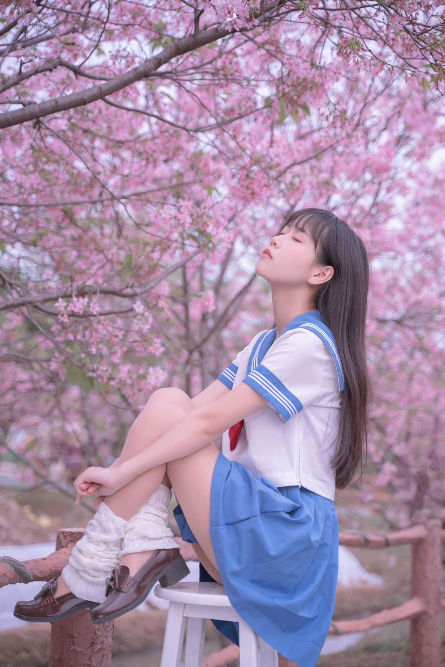 萌芽儿o0-No.024–樱花JK-在线看 第3张
