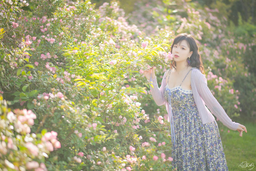 皮皮奶可可爱了啦(超皮皮皮奶)-No.062 – 蔷薇花-在线看 第1张 皮皮奶可可爱了啦(超皮皮皮奶)-No.062 – 蔷薇花-在线看 第1张