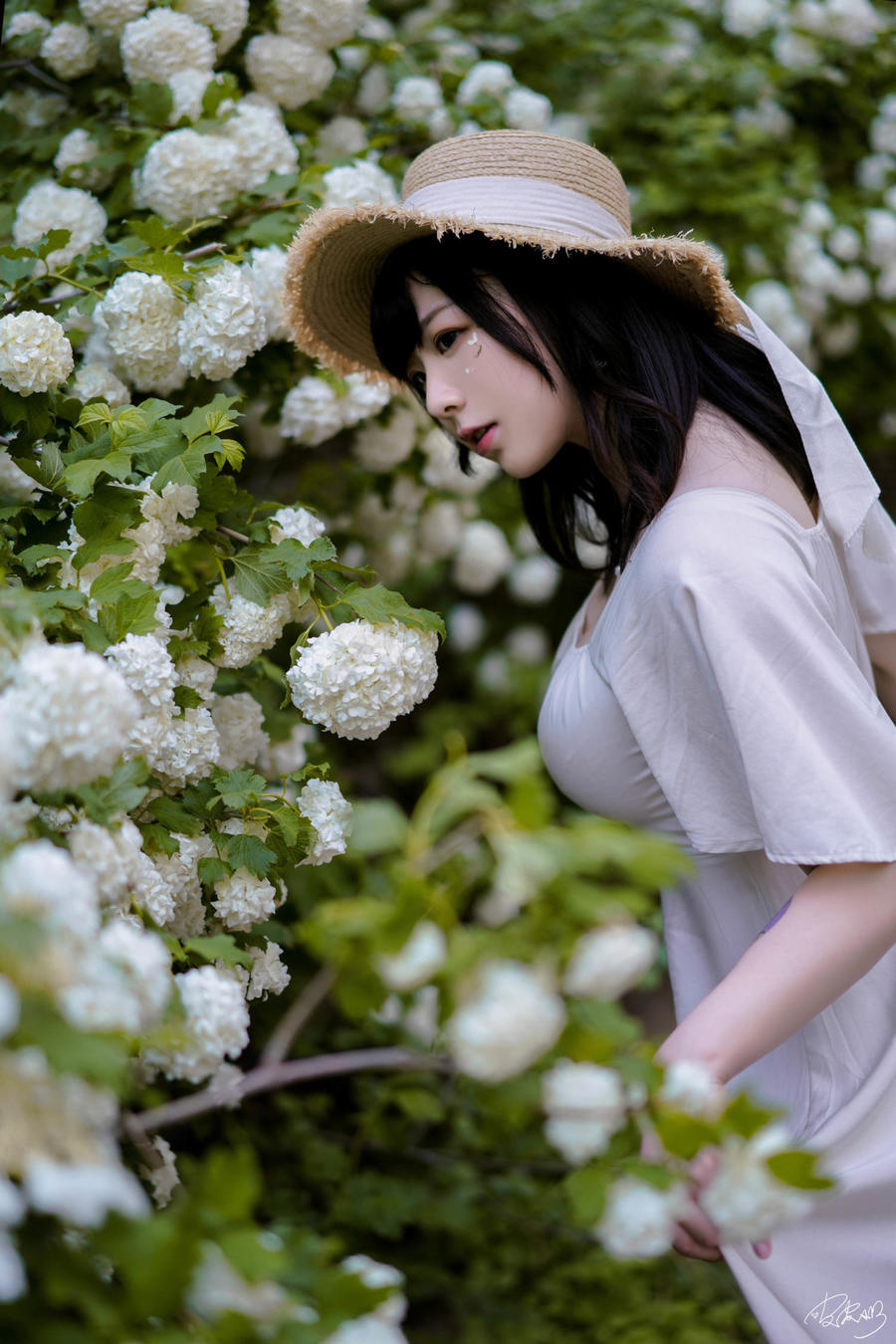 皮皮奶可可爱了啦(超皮皮皮奶)-No.067 – 绣球花-在线看 第1张