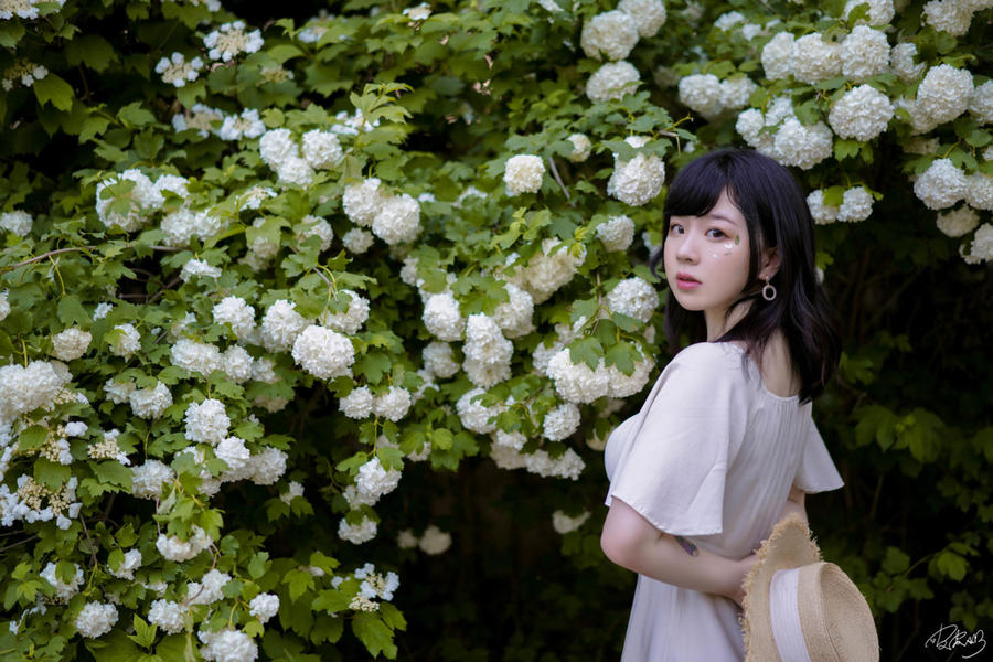 皮皮奶可可爱了啦(超皮皮皮奶)-No.067 – 绣球花-在线看 第3张