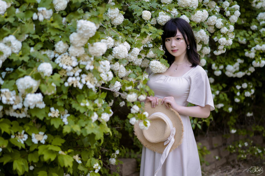 皮皮奶可可爱了啦(超皮皮皮奶)-No.067 – 绣球花-在线看 第2张