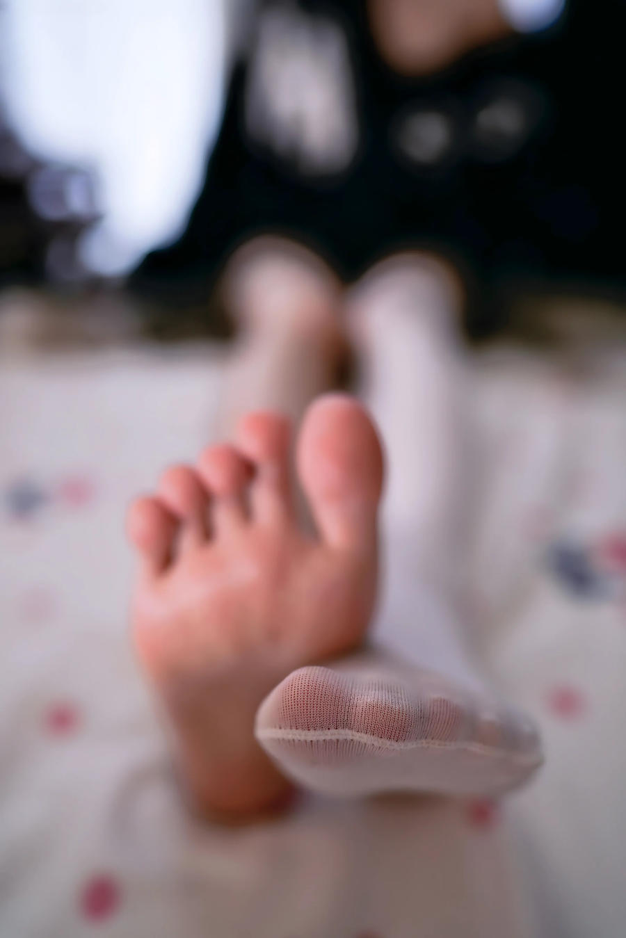 桜桃喵-No.260 – 缅因猫猫-在线看 第1张